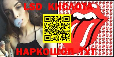 скорость Камышлов