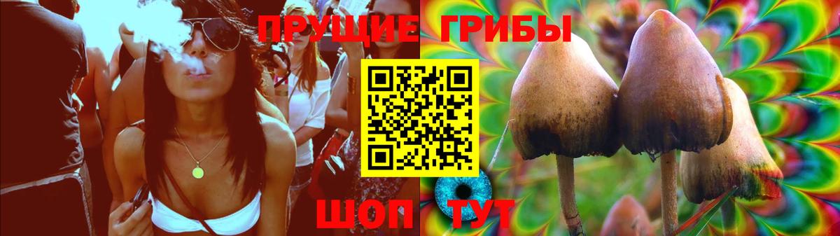 Магнитогорск  Галлюциногенные грибы Psilocybine cubensis  Вход с VPN 